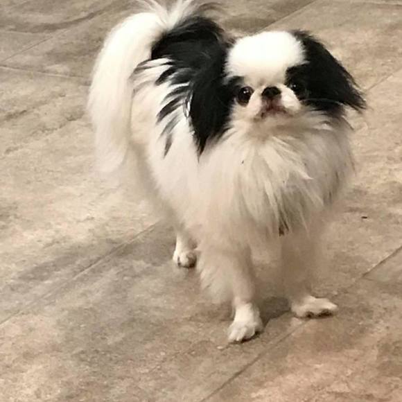 Meet your Posher, Ashley - Picture 1 of 1